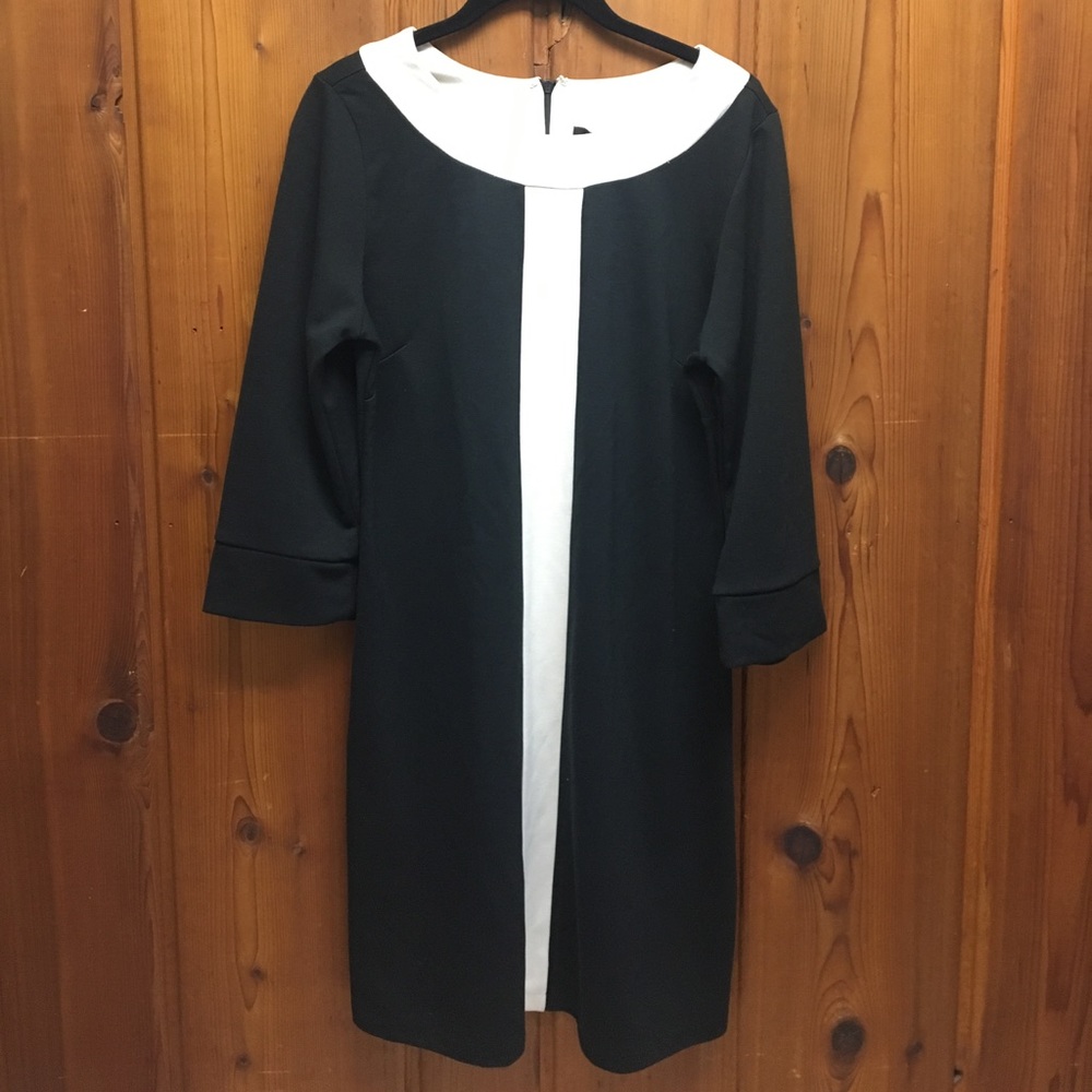 BCBG Maxazria Shift Dress